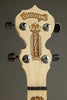 Deering Goodtime Special 5-String Resonator Banjo - New