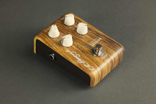 L.R. Baggs Align Series Session