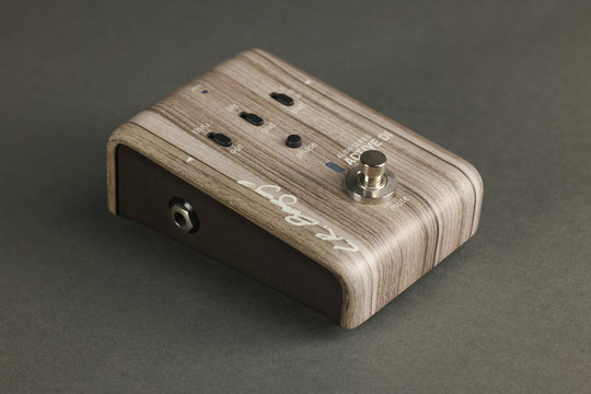 L.R. Baggs Align Series Active DI New