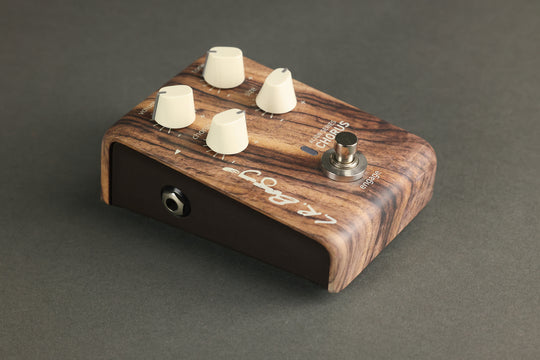 L.R. Baggs Align Series Chorus New