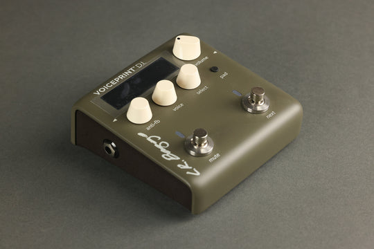 L.R. Baggs Voiceprint DI