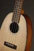 Ohana PKC-70G Concert Ukulele - New