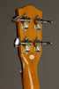 Ohana PKC-70G Concert Ukulele - New