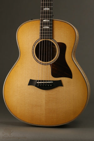 Taylor Guitars 818e Acoustic Electric Guitar New