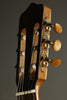 Kremona Rosa Luna Flamenco Nylon String Acoustic Electric Guitar New