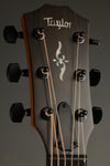 Taylor Guitars 424ce LTD Urban Ash Acoustic Guitar New