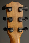 Taylor Guitars 424ce LTD Urban Ash Acoustic Guitar New