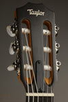 Taylor Guitars 214ce-N Nylon String Acoustic Guitar New
