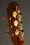 Kremona Rondo TL Nylon String Acoustic Electric Guitar New