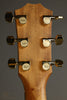 Taylor Guitars 224ce-K DLX Grand Auditorium Steel String Acoustic Guitar New