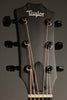 Taylor Guitars 214ce DLX Transparent Grey LTD Acoustic Electric Guitar New