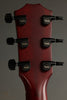 Taylor Guitars 224ce DLX LTD Transparent Red Acoustic Electric Guitar New