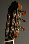 Kremona Rondo R65CWC Nylon String Acoustic-Electric Guitar New