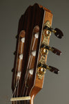 Kremona Verea Nylon String Acoustic Electric Guitar New