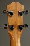 Taylor Guitars GS Mini-e Koa Bass Acoustic Bass - Parent
