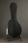 2013 Pava Mandolins A5 Player Mandolin Used