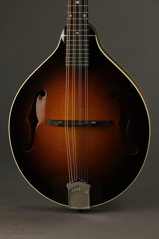 2013 Pava Mandolins A5 Player Mandolin Used