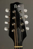 2013 Pava Mandolins A5 Player Mandolin Used