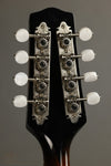 2013 Pava Mandolins A5 Player Mandolin Used