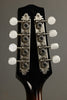 2013 Pava Mandolins A5 Player Mandolin Used