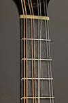 2013 Pava Mandolins A5 Player Mandolin Used