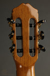 2015 Cordoba LE 55FCE Negra Nylon String Acoustic Guitar Used