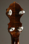 Circa 2005 Wildwood Balladeer Five-String  Banjo Used