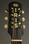 2023 Iris DF Model Acoustic Guitar Used