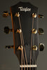 Taylor 50th Anniversary 217-e SB Plus LTD Acoustic Electric Guitar - New