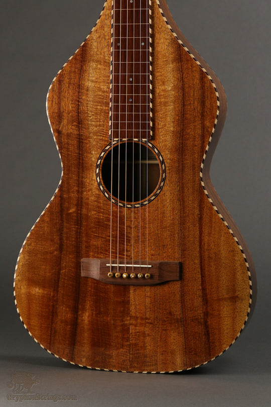 Graziano Weissenborn Style 4 Lap Steel New