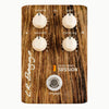 L.R. Baggs Align Series Session